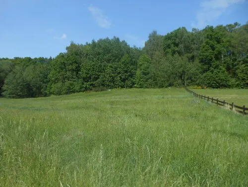 Fotografie nemovitosti - Prodej stavebního pozemku