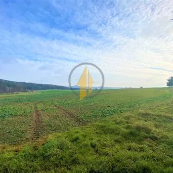 Prodej zemědělských pozemků na okraji obce Holín - Prachov