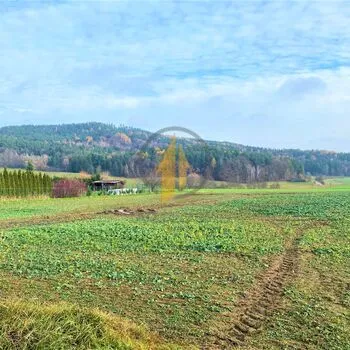 Prodej zemědělských pozemků na okraji obce Holín - Prachov