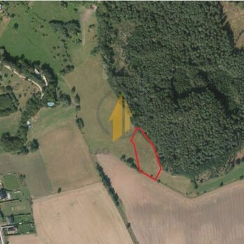 Prodej zemědělské pozemku o CP 3562 m2 v obci Prachov