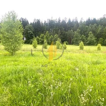 Prodej stavebního pozemku uprostřed přírody a blízkosti lesa