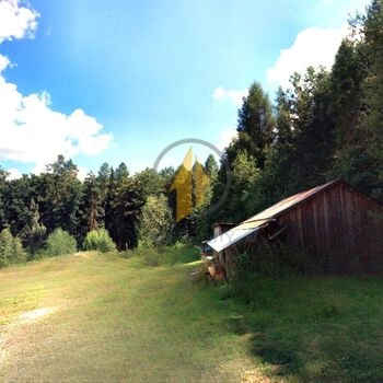 Prodej stavebního pozemku uprostřed přírody a v těsné blízkosti lesa