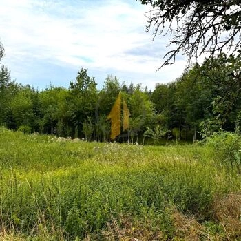 Prodej stavebního pozemku v oblíbené obci Tetín, 2 km od města Lázně Bělohrad