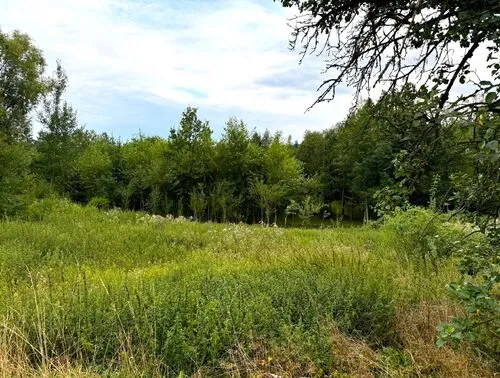 Fotografie nemovitosti - Prodej stavebního pozemku v oblíbené obci Tetín, 2 km od města Lázně Bělohrad