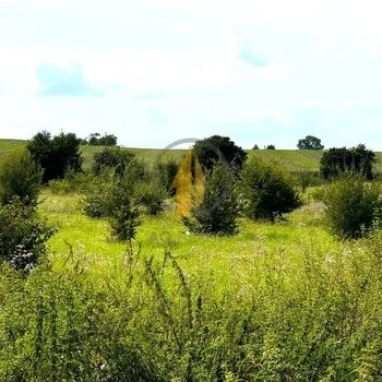 Prodej stavebního pozemku určeného k výstavbě rodinného venkovského bydlení