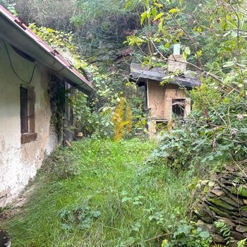 Prodej rodinného domu se zahradou v obci Bošice u Svojšic, 4 km od Kolína