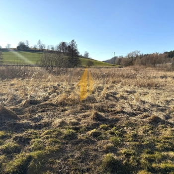 Prodej pozemku o CP 4486 m2 ke komerčním účelům v obci Stará Paka