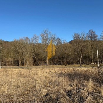 Prodej pozemku o CP 4486 m2 ke komerčním účelům v obci Stará Paka