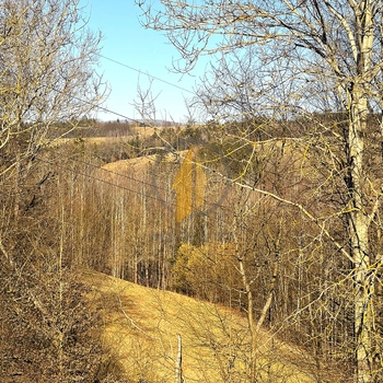 Prodej pozemku v rekreační oblasti Hrnčířský vrch nad městem Hostinné