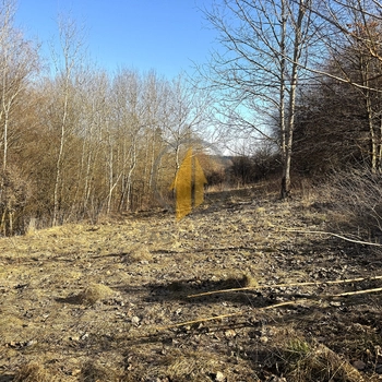 Prodej pozemku v rekreační oblasti Hrnčířský vrch nad městem Hostinné